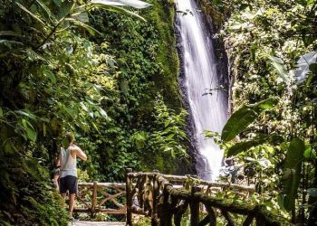 Rainforest around Arenal Volcano