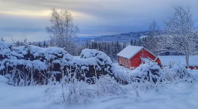 Winter wonderland. Photo By janrs71. Flickr.