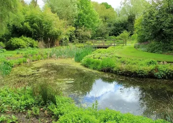 Gooderstone Water Gardens. Photo by Karen Roe. Flickr.