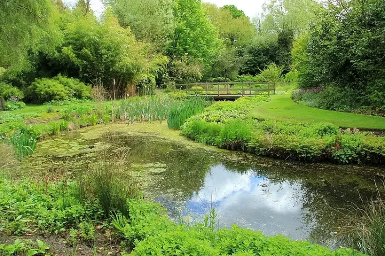 Gooderstone Water Gardens. Photo by Karen Roe. Flickr.