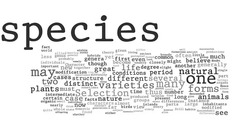 Wordle - On the Origin of Species. Photo by William. Flickr.