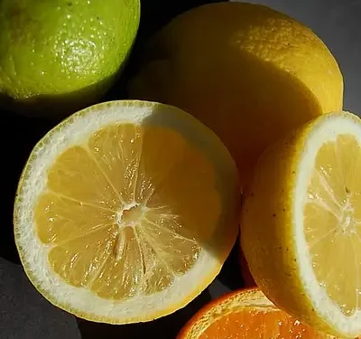 Oranges, Lemons and Limes. All great sources of Vitamin C. Photo by Robynlou Kavanagh. Flickr.