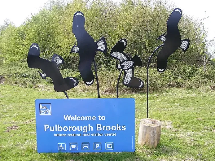 RSPB Pulborough Brooks. Photo by Richard N Adams. Flickr.