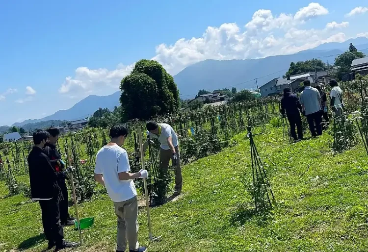 Rehabilitation Support Center and edible rose farm. Photo by Rehabilitation Support Center.