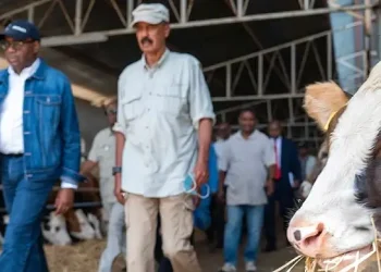 Eritrea transformation. African Development Bank president Akinwumi Adesina tours Misilam Dam and Adi Halo Water Project with Eritrean President Isaias Afwerki. Photo by AFDB.
