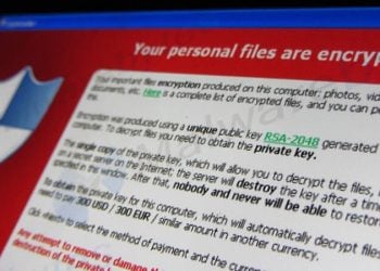 Cryptolocker ransomware. Photo by Christiaan Colen. Flickr.