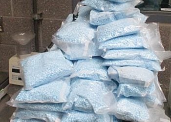 CBP officers seized an estimated 561,000 fentanyl pills, with a total weight of 123.6 pounds, and an approximate street value of $11,220,000. Photo by the CBP.