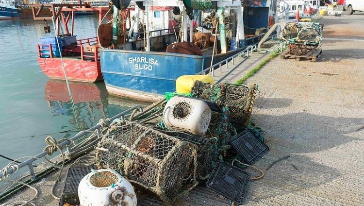 Howth Fishing Fleet. Photo by William Murphy. Flickr.