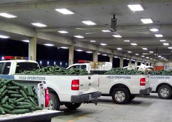Previous CBP Field Operations Seizes $1.7 Million in Narcotics at the Pharr International Bridge. Photo by CBP. Rawpixel.