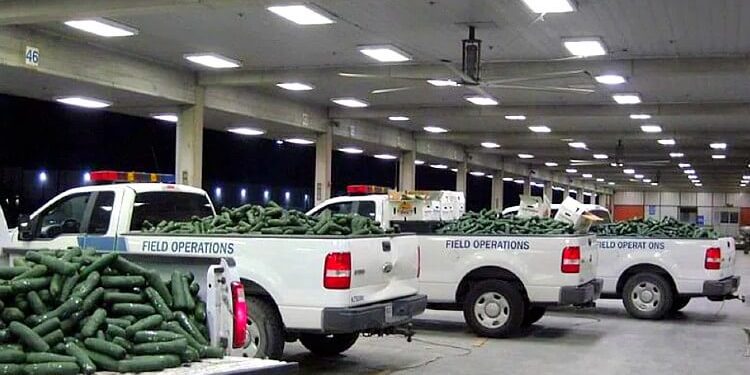 Previous CBP Field Operations Seizes $1.7 Million in Narcotics at the Pharr International Bridge. Photo by CBP. Rawpixel.