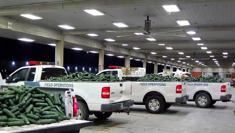 Previous CBP Field Operations Seizes $1.7 Million in Narcotics at the Pharr International Bridge. Photo by CBP. Rawpixel.