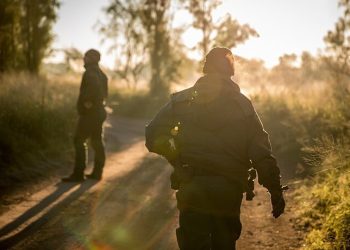 U.S. Border Patrol officers make a arrestin Texas. Photo by CBP. Rawpixel.