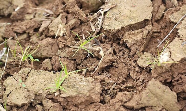 Changes is soil quality. Photo by United Soybean Board. Flickr.