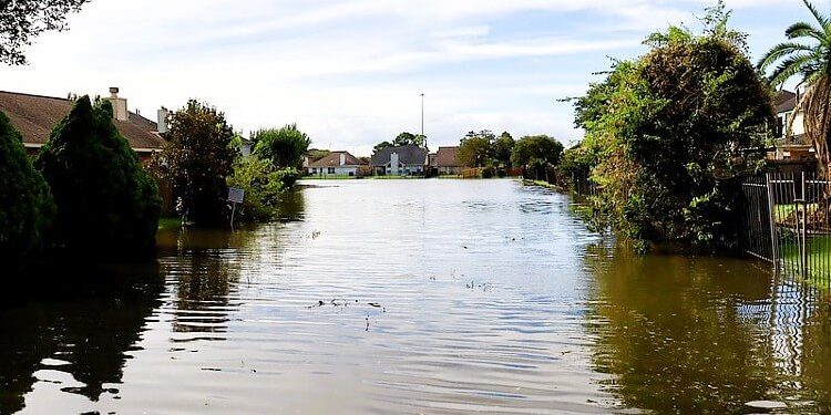 Hurricane Beryl aftermath. Photo by 2C2K Photography. Flickr.