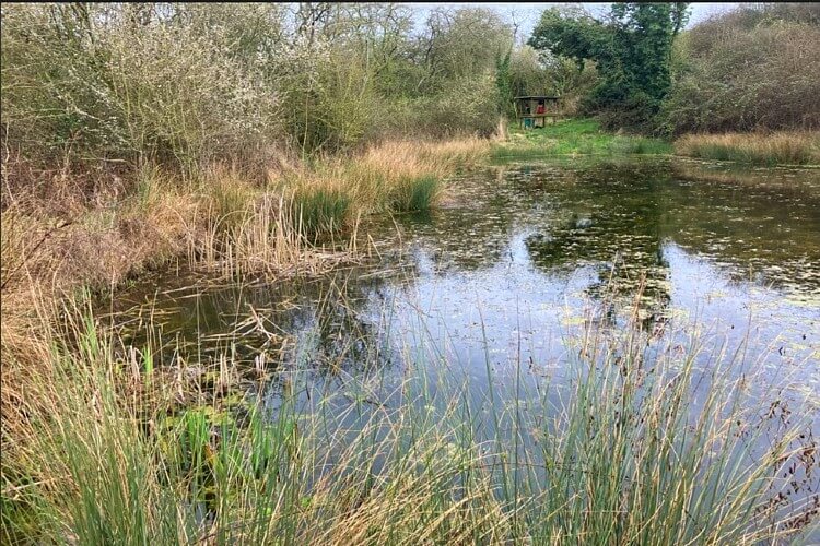 The pond made by George Eaton at farm. Photo by Natural England. Gov.uk.