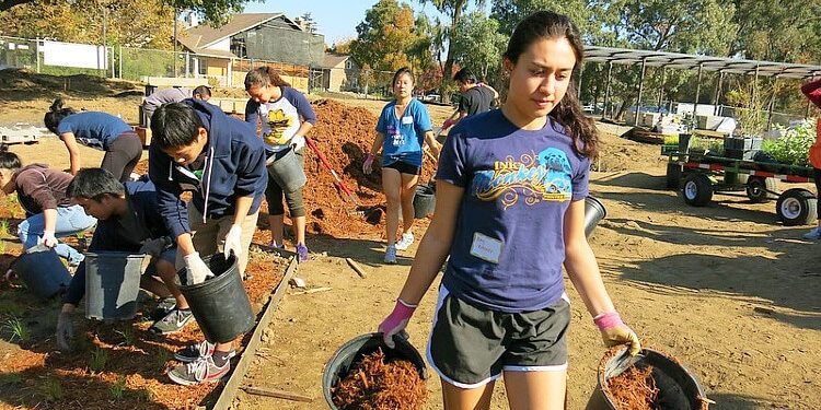 UC Davis students volunteer for a community service day to help plant the soon-to-be-completed California Native Plant Garden with native grasses. Photo by UC Davis Arboretum & Public Garden. Flickr.