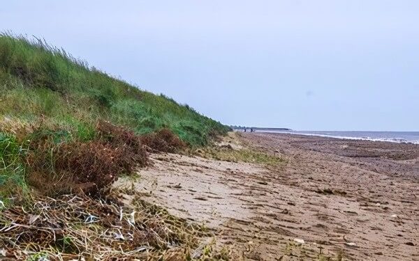 The shingle ridge in West Norfolk. Photo by the Environment Agency. Gov.uk.