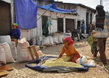 Cleaning Maize in Harar, Ethiopia. Photo by Rod Waddington.