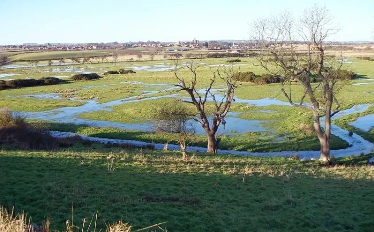Guilder's Burn flood plain. Photo by David Clark.