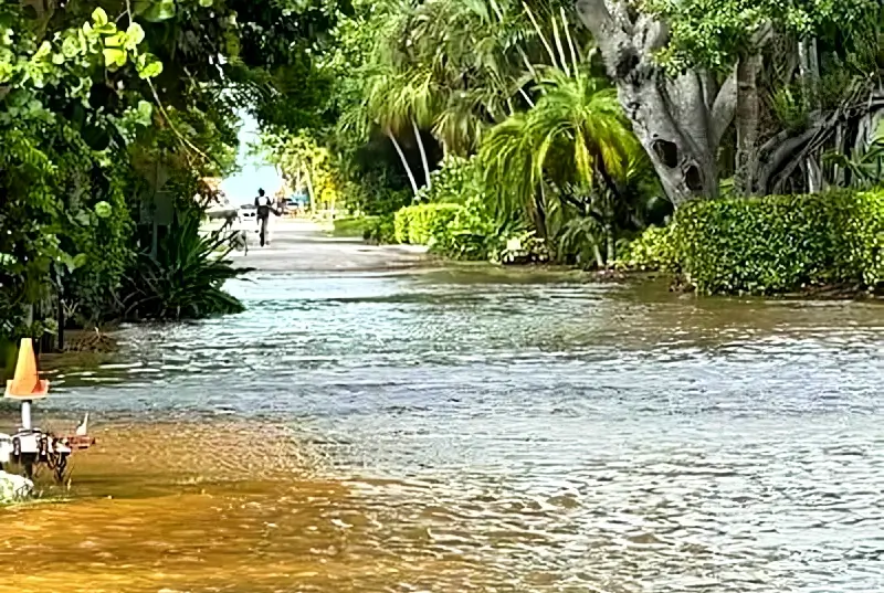 Flooding of Banyan Street on September 26, 2024 before landfall of Hurricane Helene. Photo by Leaky.