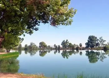 Proposal to Rename CHRISTOPHER COLUMBUS Park. Photo by City of Tucson.