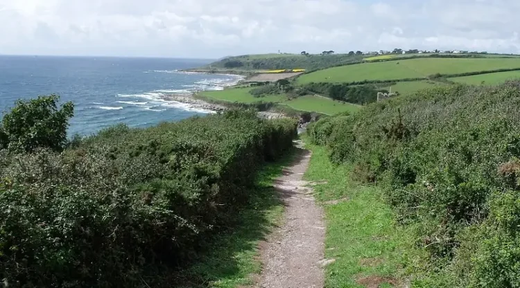 South Devon Coastal Path. Photo by Puffin11k.