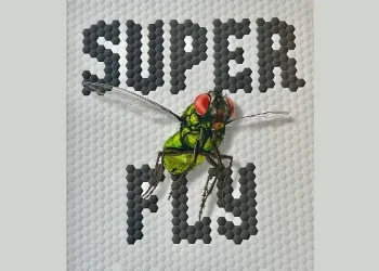 Super Fly, The Unexpected Lives of the World's Most Successful Insects. Photo by Steve Jurvetson.