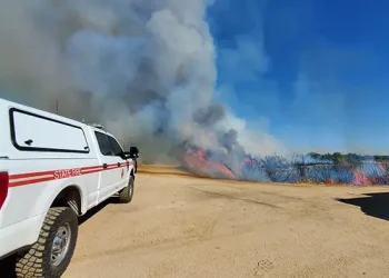 Tres Rios Wetlands Prescribed Burn. Photo by City of Phoenix.