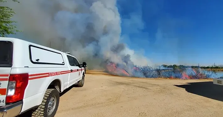 Tres Rios Wetlands Prescribed Burn. Photo by City of Phoenix.