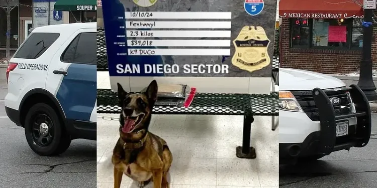 USBP K-9 alerts USBP Agents to fentanyl hidden in a pick-up truck's battery compartment. Photo by CBP.