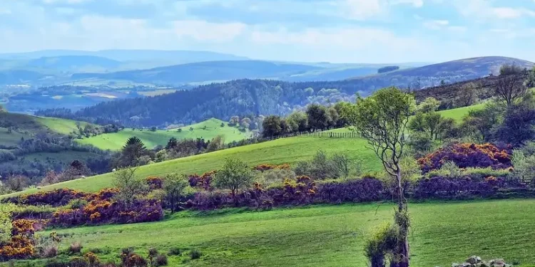 The Blue Hills, England. Photo by Jim Roberts Gallery.