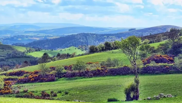 The Blue Hills, England. Photo by Jim Roberts Gallery.