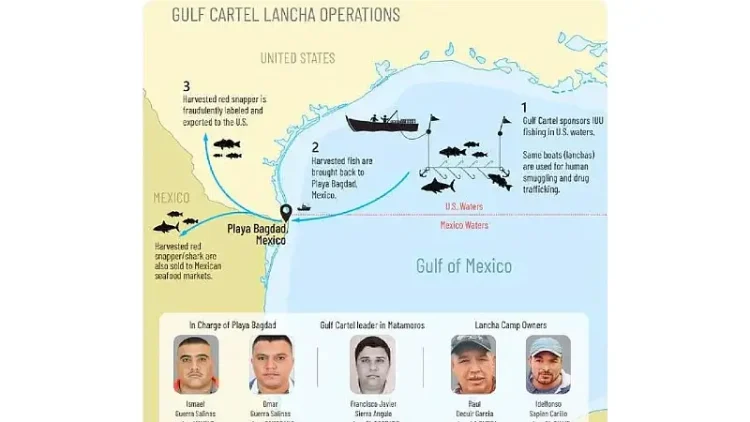 The Gulf Cartel and it's operations. Photo by the Treasury.