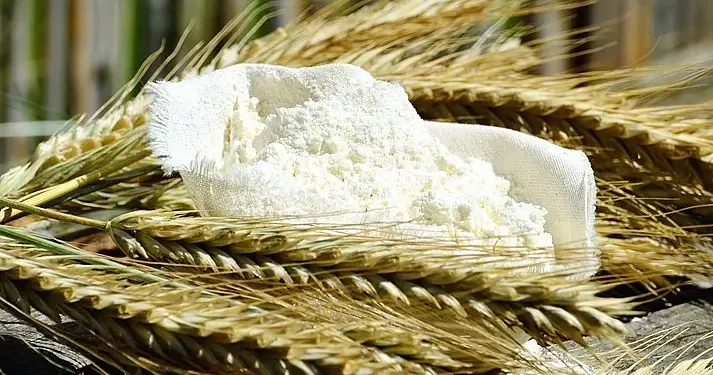 Wheat flour on wheat husks. Photo by Conger Design.