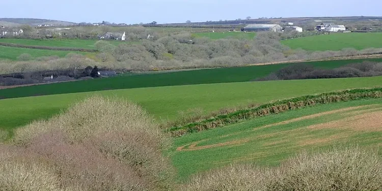 Devon farmland north-east of Elmscott. Photo by Roger Kidd.