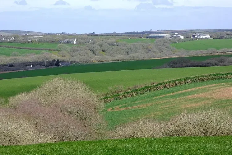 Devon farmland north-east of Elmscott. Photo by Roger Kidd.