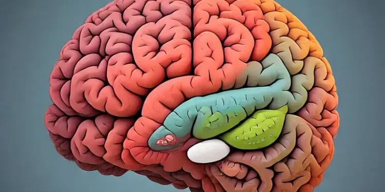 Human brain structure. Artwork by Meta.AI.