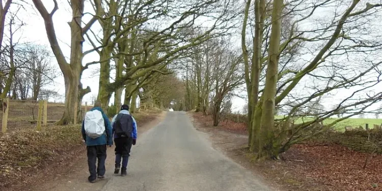Passing ramblers on the Cotswold Way. Photo by Ian S.