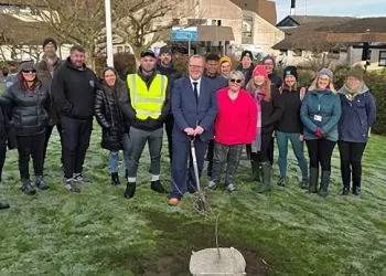 Tree planting in the grounds of Westmorland General Hospital. Photo by Natural.