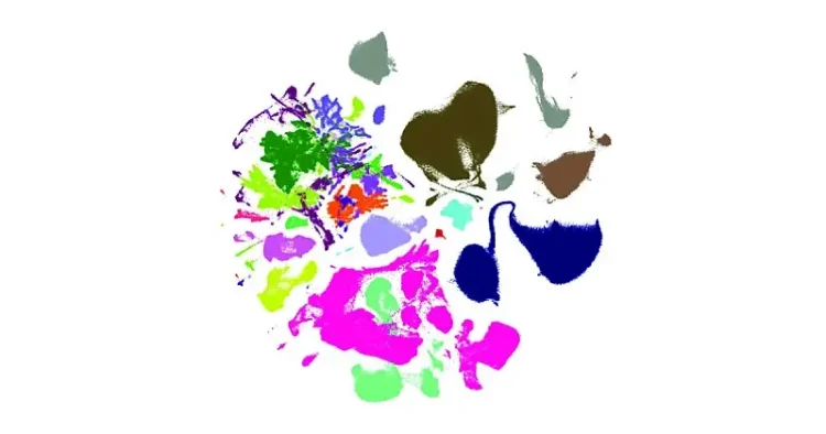 NIH-funded study pf mice used advanced genetic analysis techniques to map out the sensitivity of different brain cell types to aging. Photo by the Allen Institute