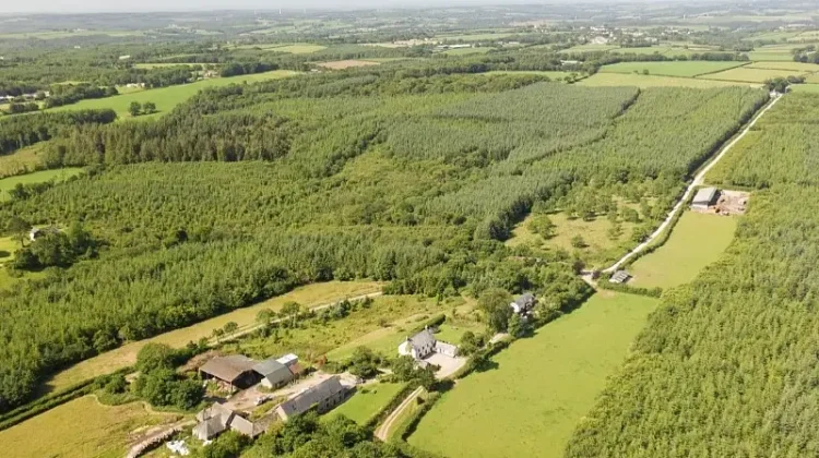 An aerial view of woodland on Grascott Farm. Photo by Grascott Farm.