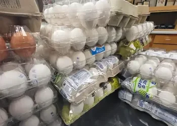 Eggs confiscated by CBP agriculture specialists at El Paso TX. Photo by CBP.