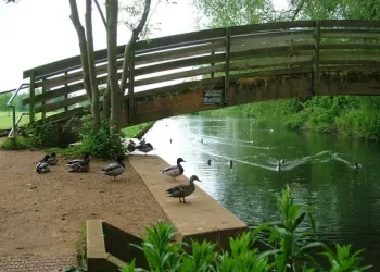 Footbridge over the River Lark, Mildenhall. Photo by John Goldsmith.