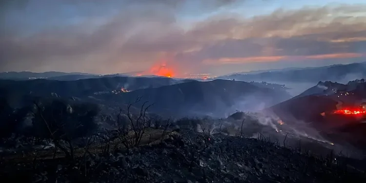 Wildfires rage in Southern California mountains, January 2025. Photo by Samuel Bowen.