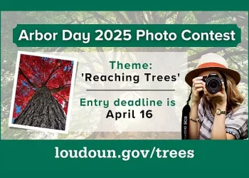 2025 Loudoun Arbor Day Photo Contest. Photo by Loudoun County.