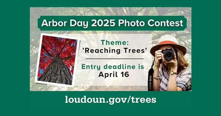2025 Loudoun Arbor Day Photo Contest. Photo by Loudoun County.