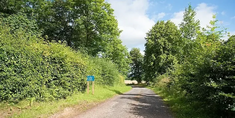 Private road on Lowther Estate. Photo by Trevor Littlewood.