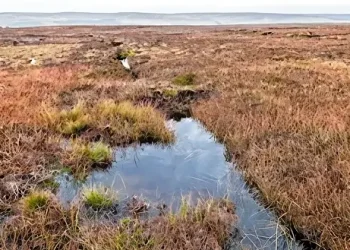 Ramsgill Moor restoration. Peatlands store carbon, etc. Photo by DEFRA.