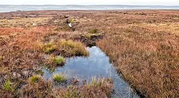 Ramsgill Moor restoration. Peatlands store carbon, etc. Photo by DEFRA.
