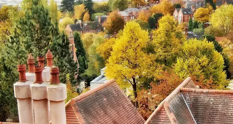 Rooftops view of the park in Nottingham. Photo by Donnchad H.